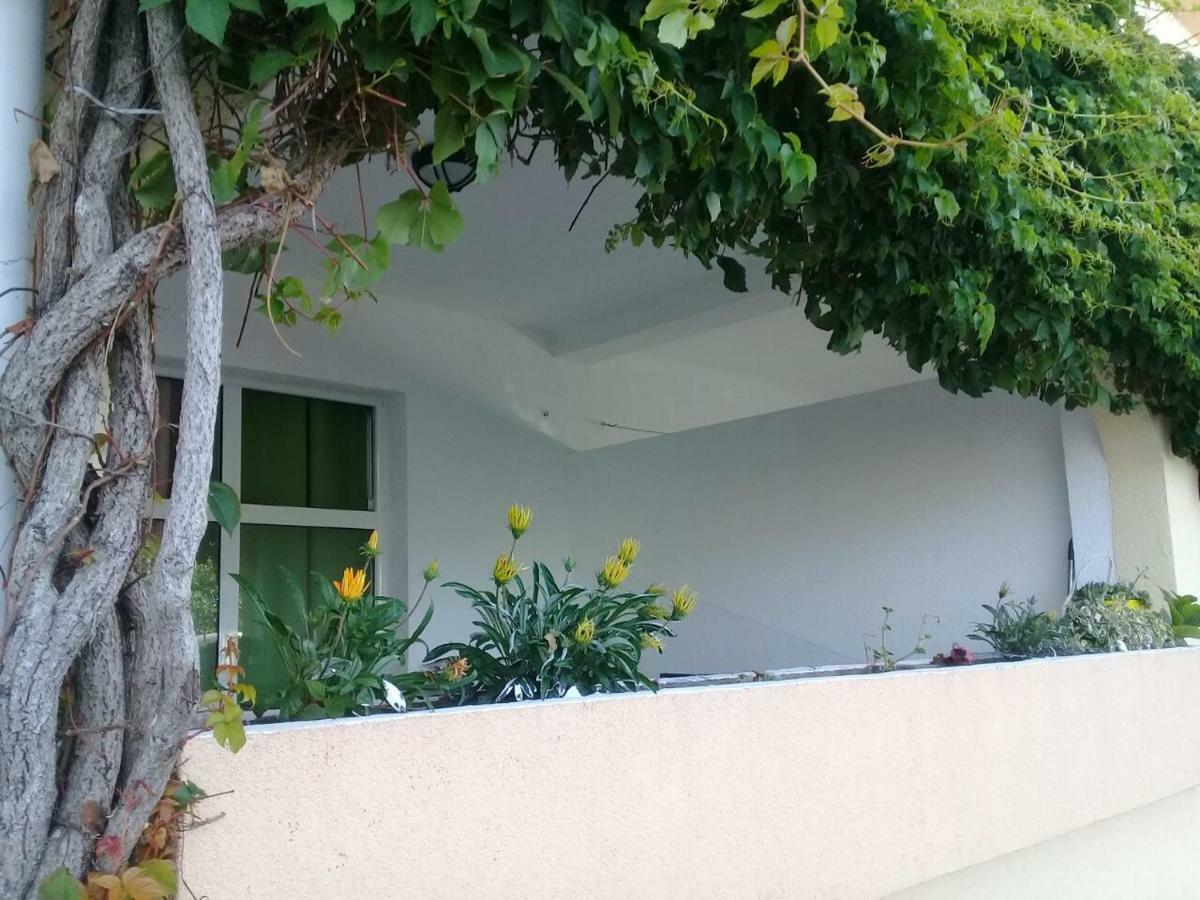 Montenegrina Apartment 부드바 외부 사진